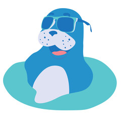 Cute seal with sunglasses in the water.