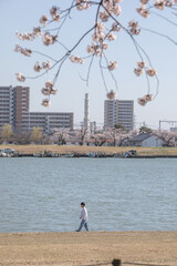 Fototapeta premium 新潟市の風景