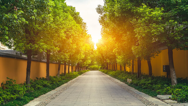 The yellow wall of the temple