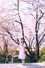 Asian lady travel in cherry blossom park in Seoul city, South Korea with Sakura flower background.