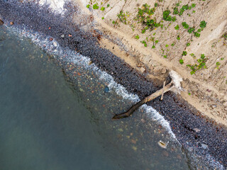 drone shot from directly above on a single dead tree lying on the shore of the Baltic Sea in the surf
