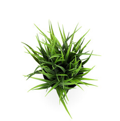 Artificial grass on white background