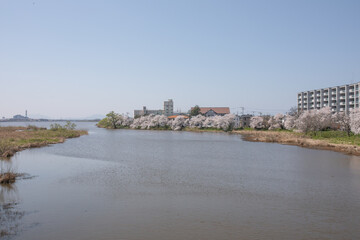 Obraz premium 新潟市の風景