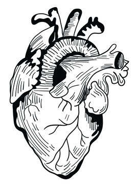 Our captivating black and white heart illustration is a timeless symbol of love and passion. This stunning design captures the essence of the human heart in a beautifully simple yet powerful way.