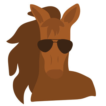 Cute horse with sunglasses