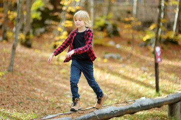 Cheerful child during walk in the forest on a sunny autumn day. Preteen boy is having fun while walking through the autumn forest.