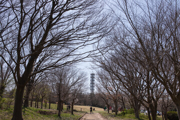 新潟市の風景