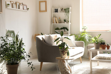 Interior of living room with sofa, tables and green houseplants