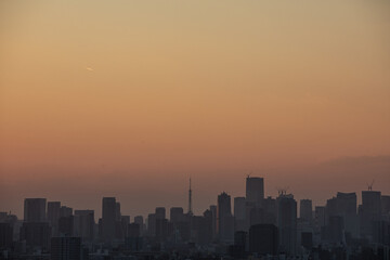 船堀タワーから観る東京の景色