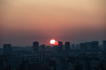 Fototapeta na wymiar 船堀タワーから観る東京の景色