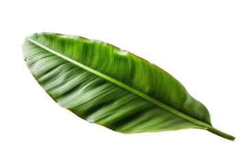 Obraz premium Banana Leaf On White Background. Isolated Transparent, Png. Generative AI
