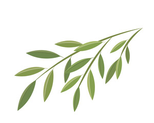 Obraz premium Vector icon or illustration of bamboo leaves, plant for dragon boat festival