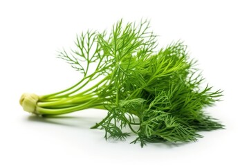 Fennel Leaf On White Background. Generative AI