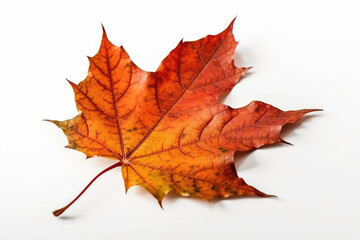 Obraz premium Maple Leaf On White Background. Generative AI
