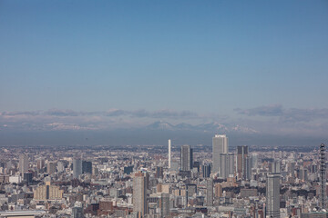 Obraz premium 六本木ヒルズから観た景色