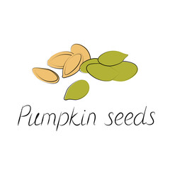 Pumpkin seeds vector. Vegetarian food or snack illustration