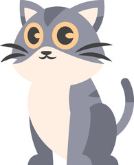 Playful Orange Cute Cat