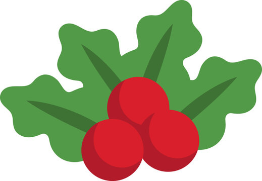 Cute Christmas Red Beries