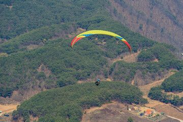 people who enjoy paragliding in the sky