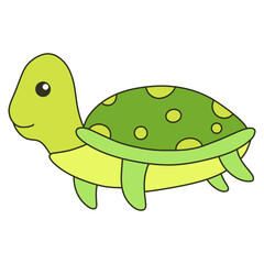 turtle cartoon