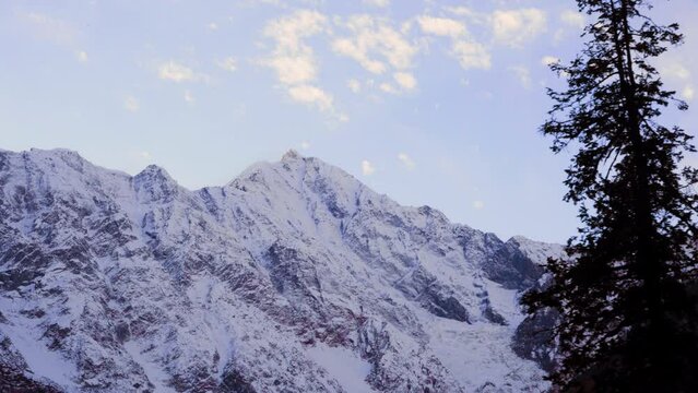 tracking shot of snow covered himalaya mountains with coniferous trees in front and a blue snowy sky showing manali, lahaul, spiti and leh tourist place in India