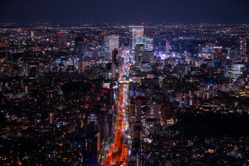 Obraz premium 夜の首都高速道路