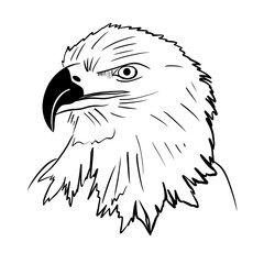 Vector sketch hand drawn profile of an eagle, line art