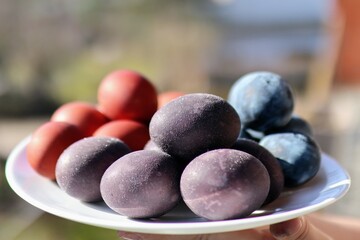 blueberries on a plate