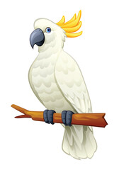 Cute cockatoo parrot sitting on branch cartoon illustration isolated on white background