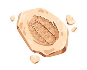 Ancient fossil stone. Prehistoric rock, fossilized trilobite impression, imprint, old organic footprint. Archeology, paleontology art. Flat cartoon vector illustration isolated on white background © Good Studio