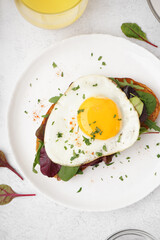 Delicious sandwich with fried egg and greens on light background