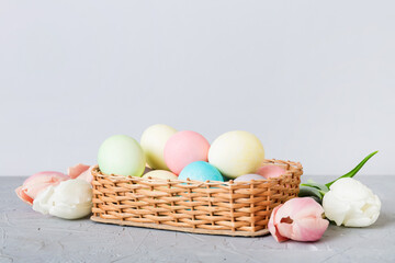 Happy Easter composition. Easter eggs in basket on colored table with yellow Tulips. Natural dyed colorful eggs background with copy space