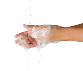 Hands Washed with Soap and Water