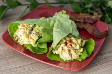 Plate with egg salad wrapped in lettuce
