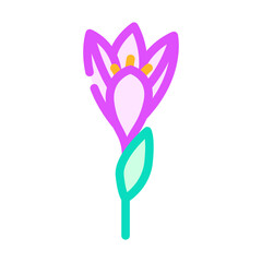 crocus flower spring color icon vector illustration