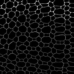 Vector black snake print pattern animal seamless. Snake skin abstract for printing, cutting, and crafts Ideal for mugs, stickers, stencils, web, cover. wall stickers, home decorate and more.