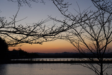 夕暮れに染まる池、橋