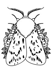 Moth outline, vector illustration, butterfly with flowers, icon line isolated