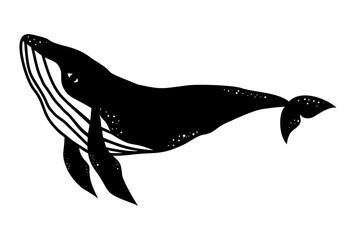 Whale vector illustration. Ocean animal