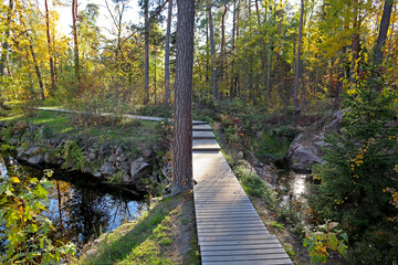 Naklejka premium Wooden footpath in the Monrepos natural park near Vyborg, Russia. Walking sidewalk made of wooden planks and bright autumn landscapes of the unique northern nature.