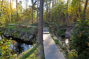 Wooden footpath in the Monrepos natural park near Vyborg, Russia. Walking sidewalk made of wooden planks and bright autumn landscapes of the unique northern nature.