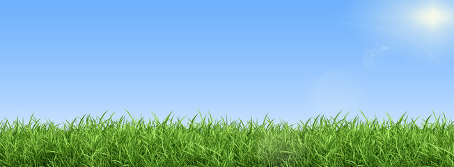 Green grass on blue clear sky, spring nature theme. Panorama