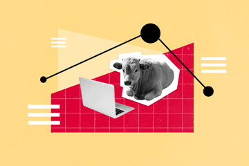 Composite collage portrait of black white colors cow laying use wireless netbook isolated on...