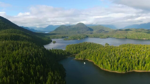 Bird's eye view of green forests on Vancouver Island in British Columbia, Canada
