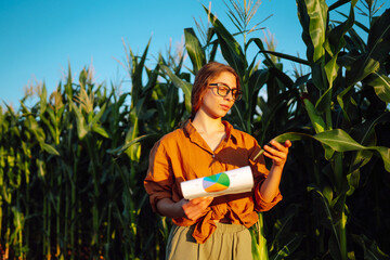 Business woman farmer stands in a corn field with a clipboard and examines the corn on the cob. Agriculture concept. Modern digital technologies. Agronomist on the farm. Harvest care concept.