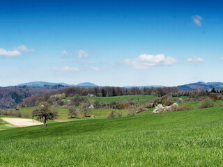 Wanderweg ges&auml;umt von Feldern, Wiesen und gr&uuml;nen Weiden zum Eichener see mit Panoramablick auf die Schwarzwaldberge
