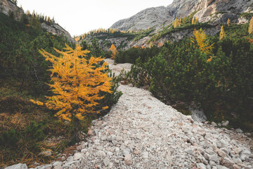 Autumn in the Dolomites Italy 