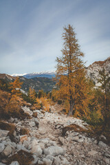 Autumn in the Dolomites Italy 