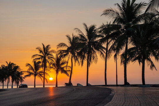 Palm trees line the beach at sunrise