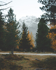 Autumn in the Dolomites Italy 